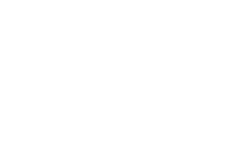 BREVIIS