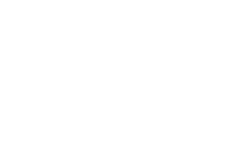 EVOLUÇÃO